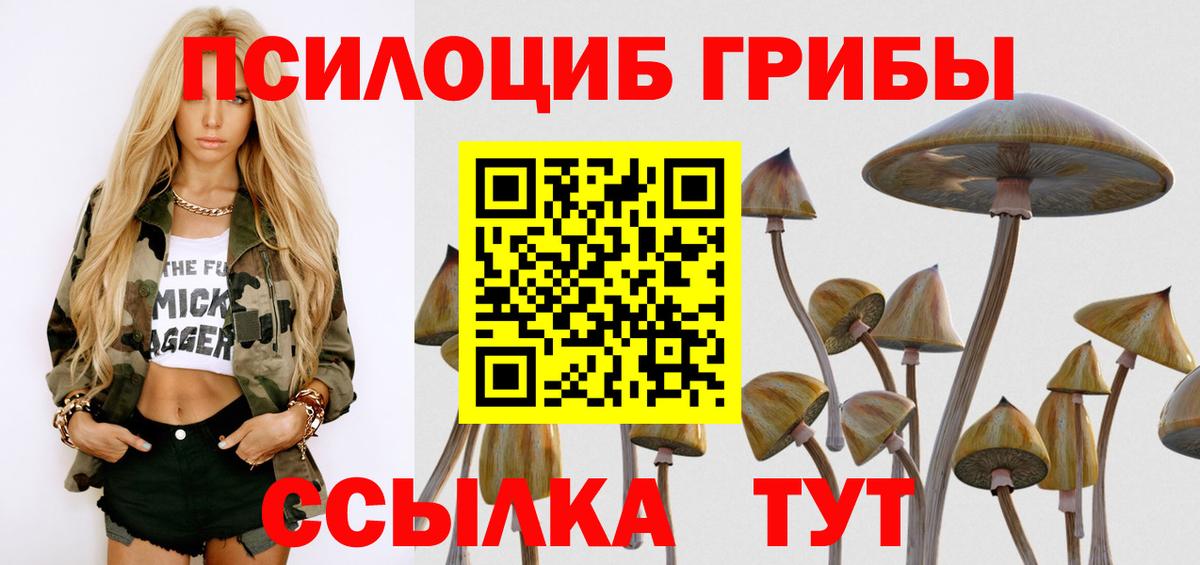 Псилоцибиновые грибы Psilocybine cubensis Родники