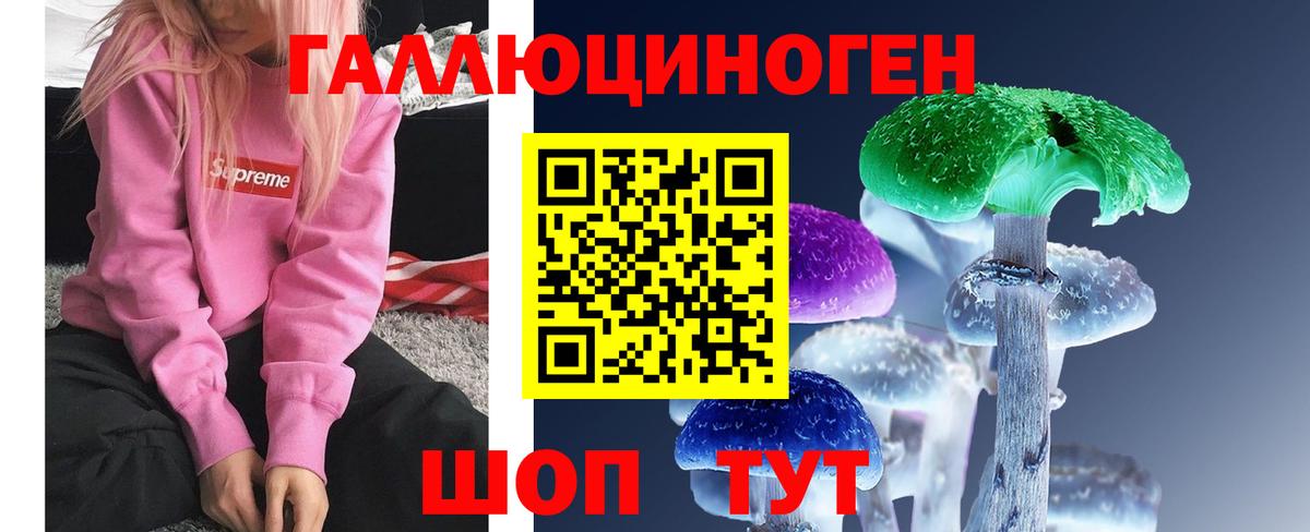 Родники  Псилоцибиновые грибы Magic Shrooms  Вход с VPN  купить  цена  Галлюциногенные грибы GOLDEN TEACHER 