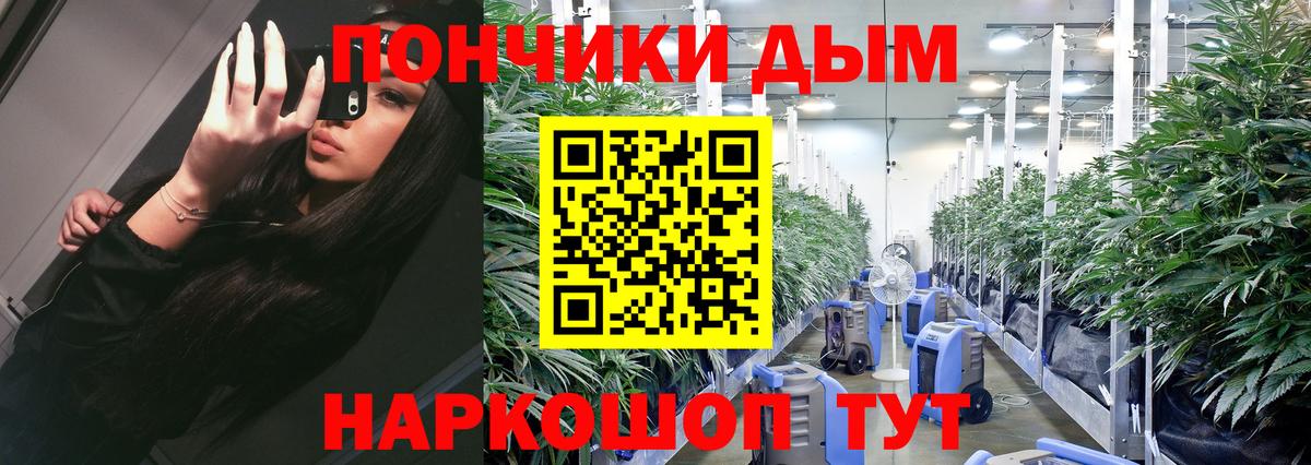 Бошки марихуана планчик  Вход с VPN  Бошки Шишки SATIVA & INDICA  Бошки Шишки планчик  Родники  Бошки марихуана сатива 